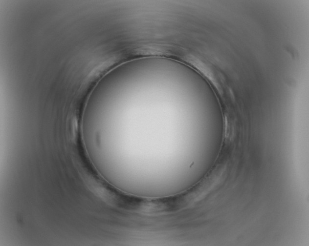 X0000114010109200910161743