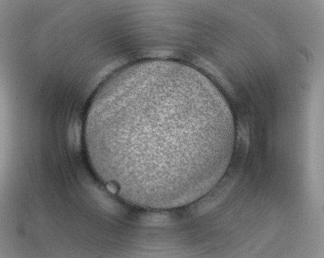 X0000114010110200910161743