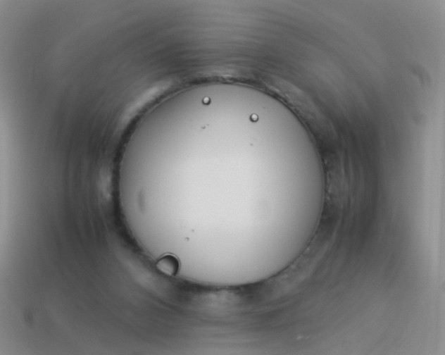 X0000114010112200910161743