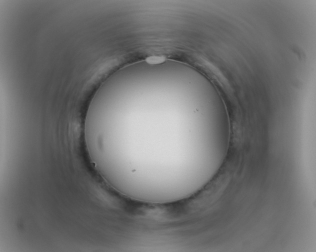 X0000114010113200910161742