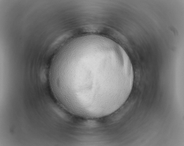 X0000114010114200910161742