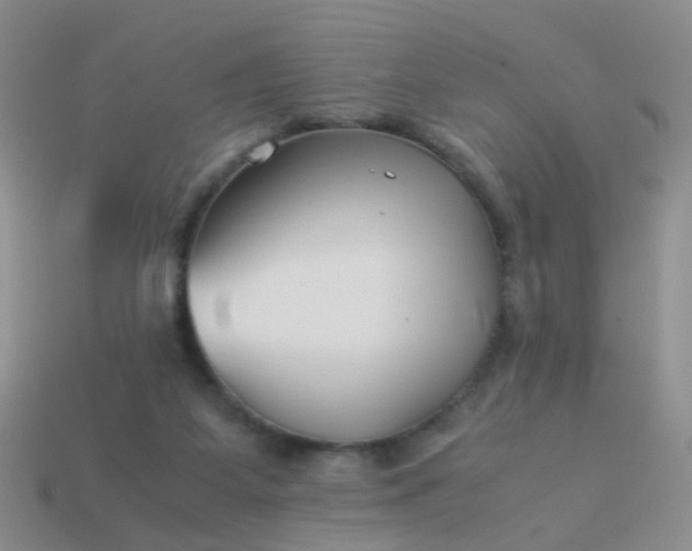 X0000114010115200910161742