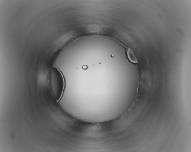 X0000114010116200910161742