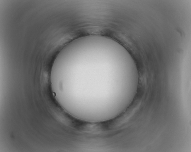 X0000114010117200910161742