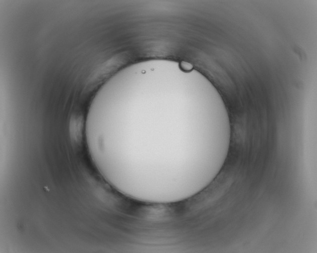 X0000114010118200910161742