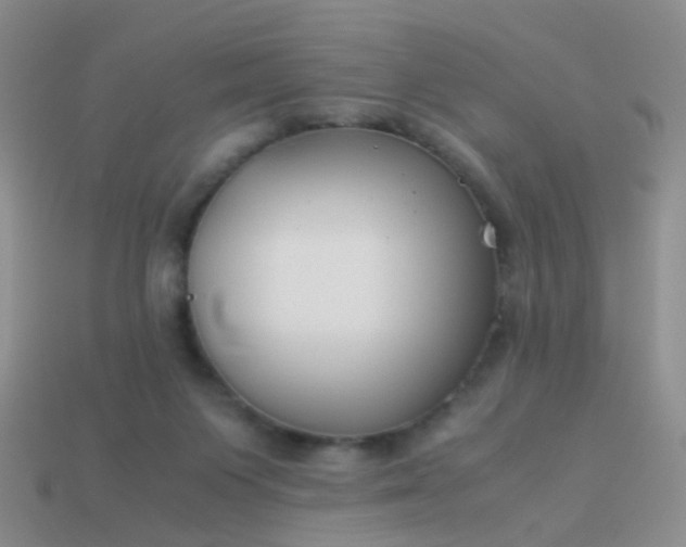 X0000114010119200910161742