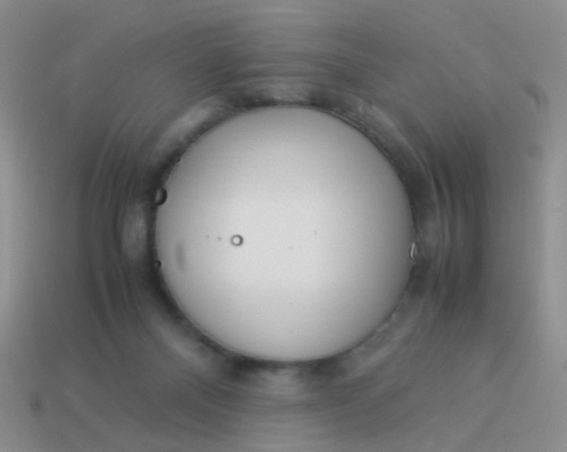 X0000114010120200910161742