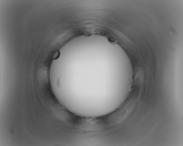 X0000114010121200910161742