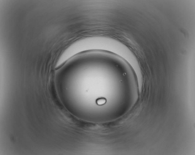 X0000114010125200910161742