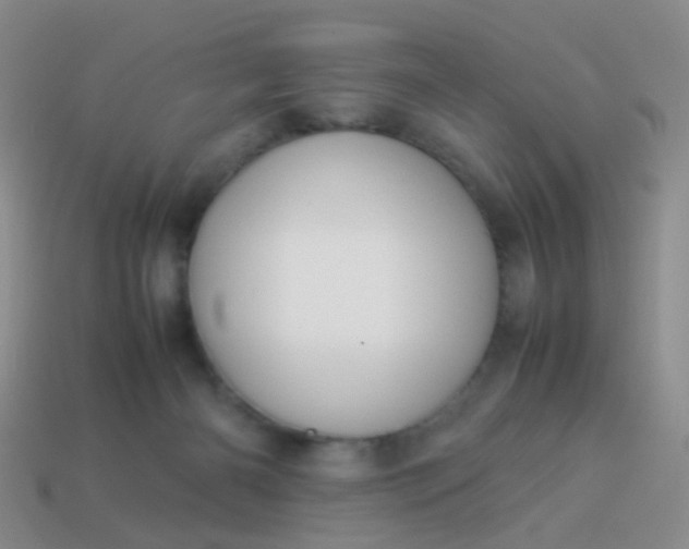 X0000114010126200910161742