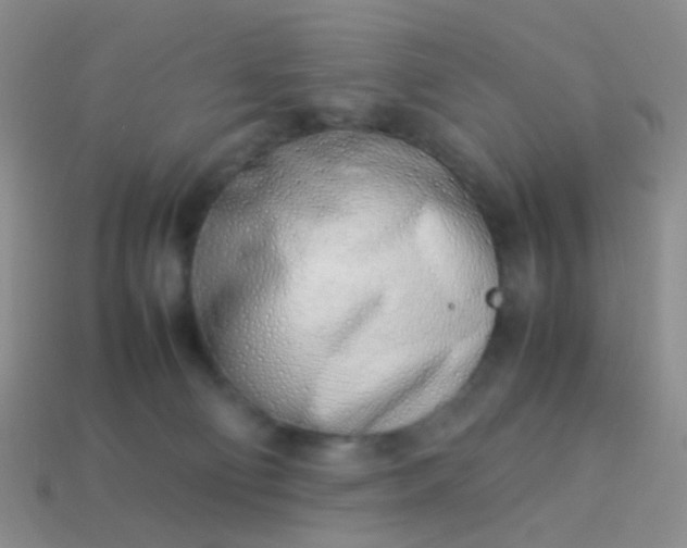 X0000114010130200910161742