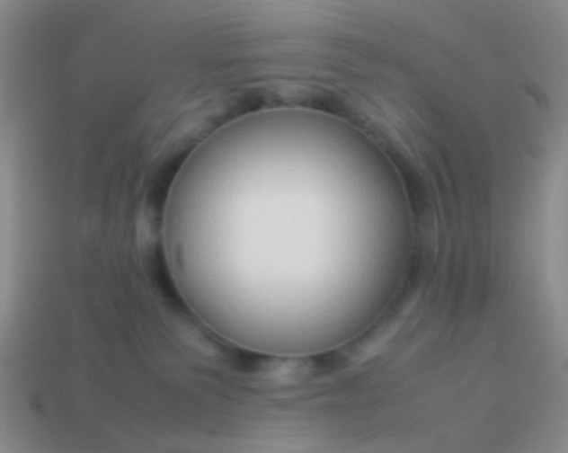 X0000114010135200910161742