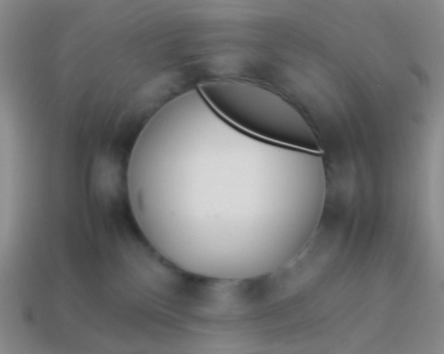 X0000114010136200910161742