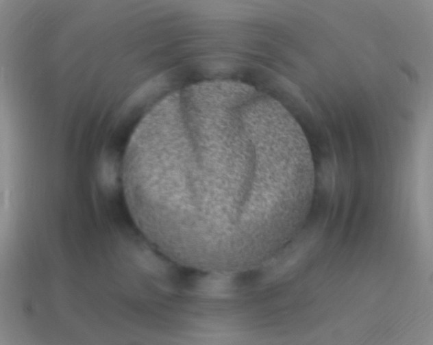 X0000114010138200910161742