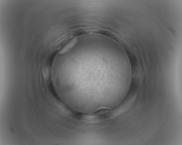 X0000114010139200910161742