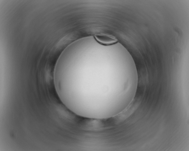 X0000114010140200910161742