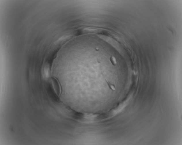 X0000114010143200910161742