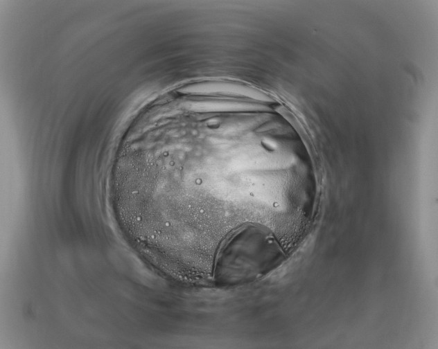 X0000114010145200910161741