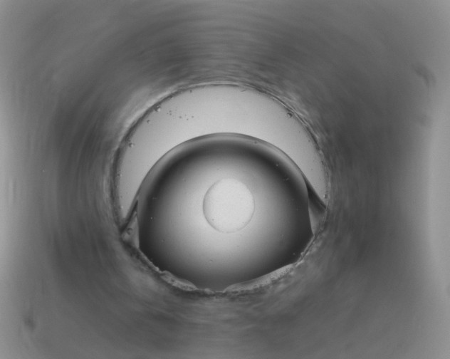 X0000114010146200910161741