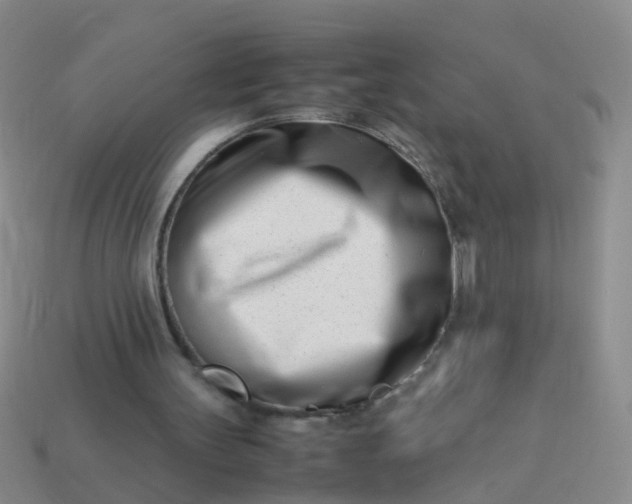 X0000114010147200910161741