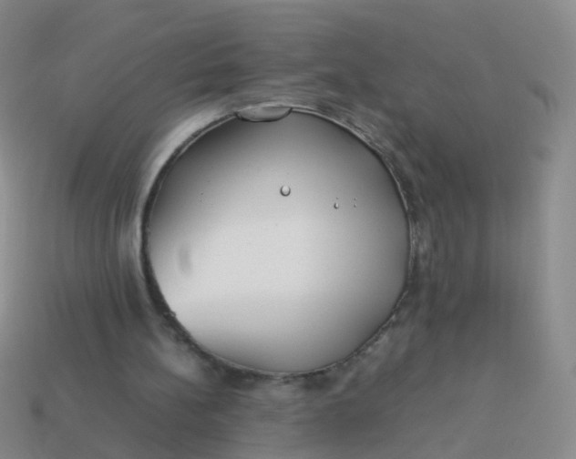 X0000114010148200910161741