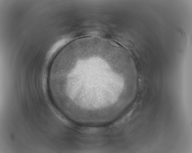 X0000114010149200910161741