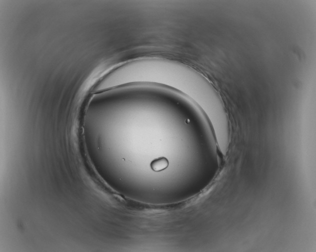 X0000114010150200910161741