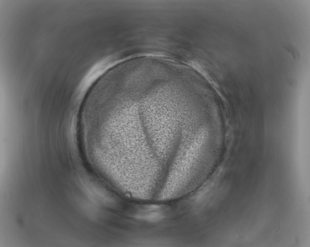 X0000114010151200910161741