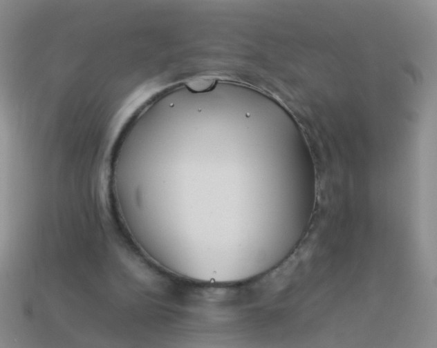 X0000114010152200910161741