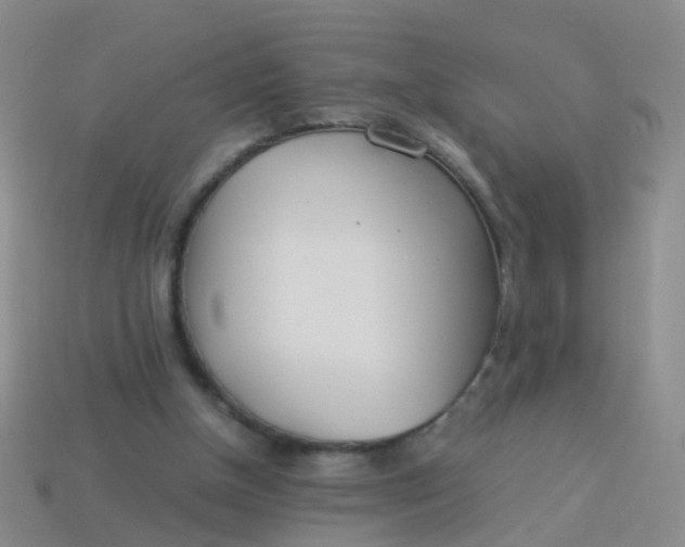 X0000114010154200910161741