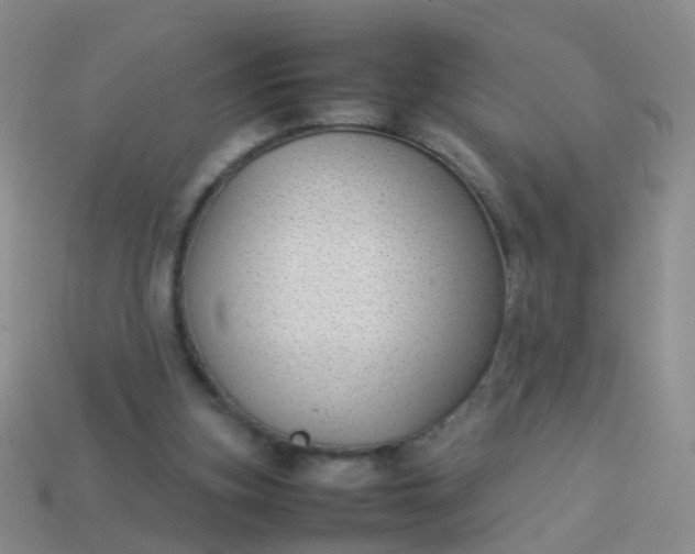 X0000114010155200910161741