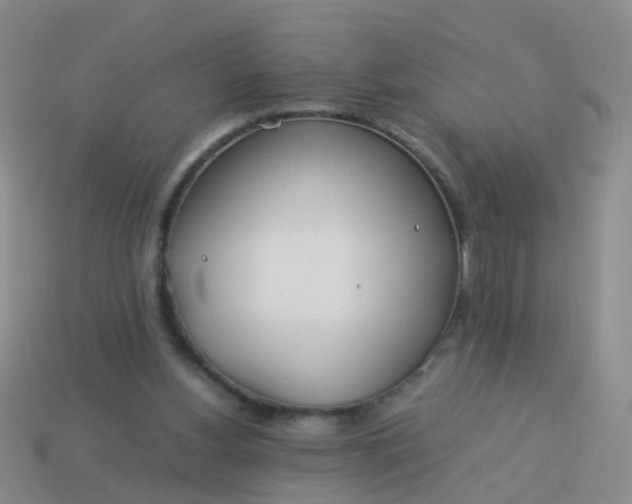 X0000114010156200910161741