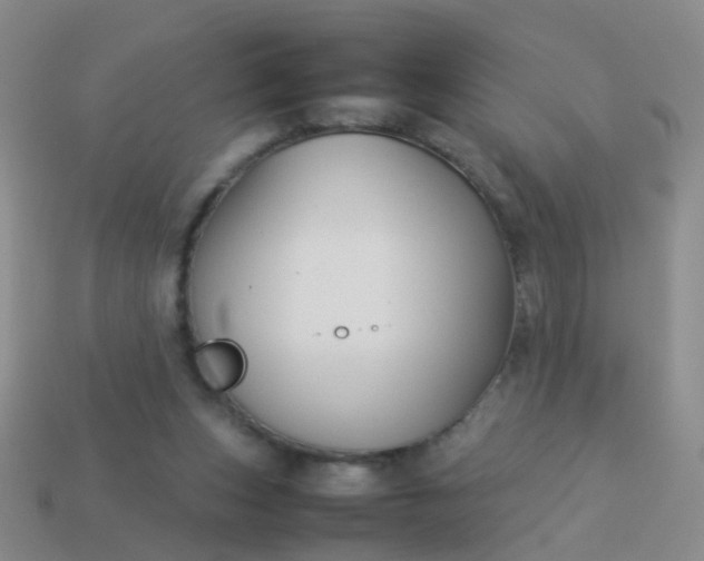 X0000114010159200910161741