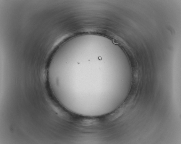 X0000114010160200910161741