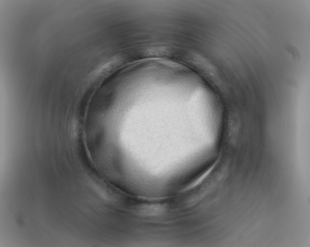 X0000114010161200910161741