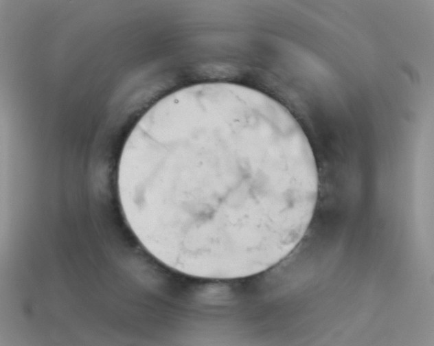 X0000114010162200910161741