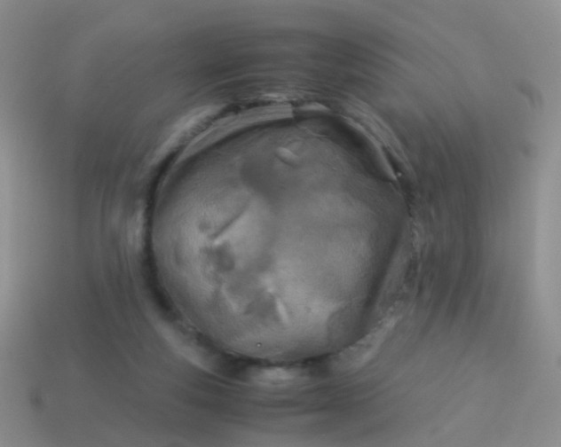 X0000114010163200910161741