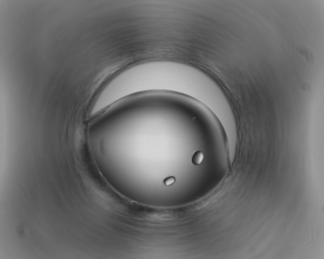 X0000114010164200910161741