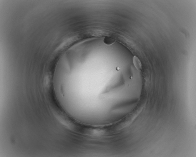 X0000114010165200910161741