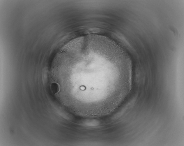 X0000114010169200910161742