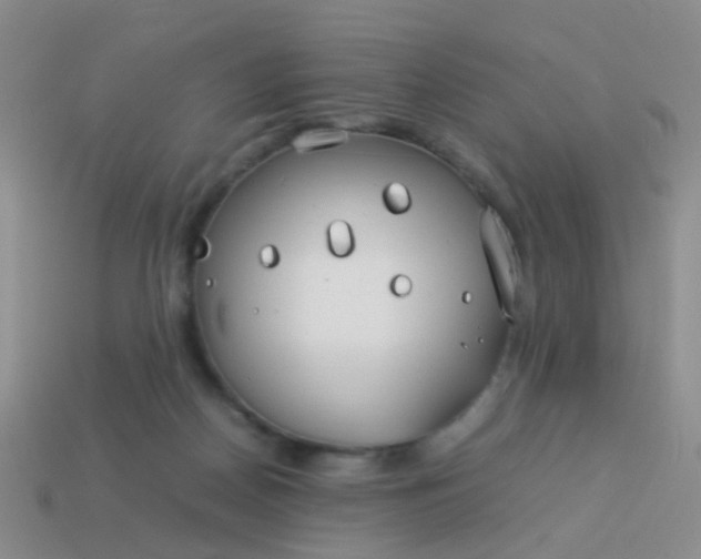 X0000114010170200910161742