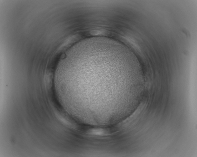 X0000114010171200910161742