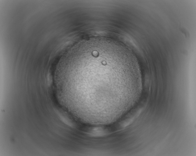 X0000114010173200910161742