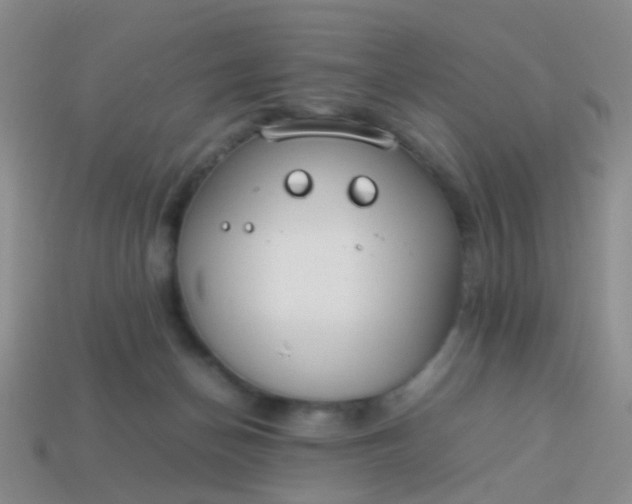 X0000114010174200910161742