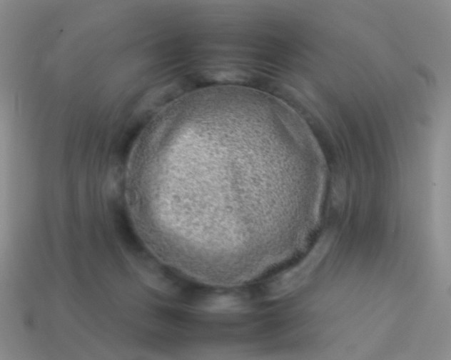 X0000114010175200910161742