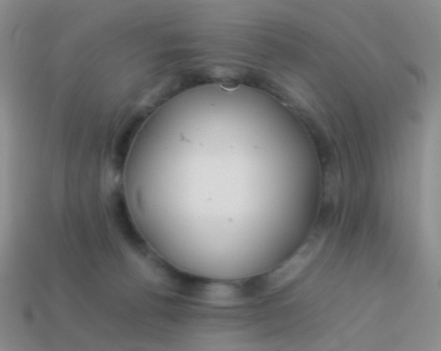 X0000114010176200910161742