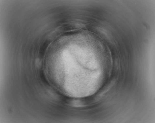 X0000114010177200910161742