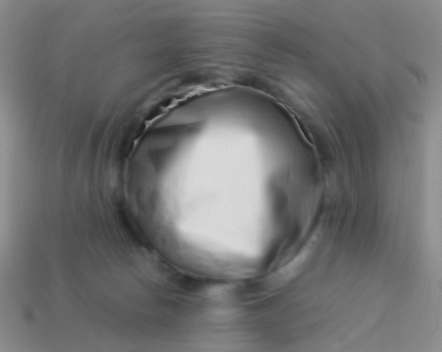 X0000114010178200910161742