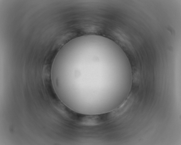 X0000114010179200910161742