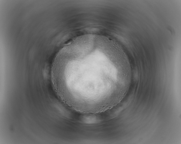 X0000114010181200910161742